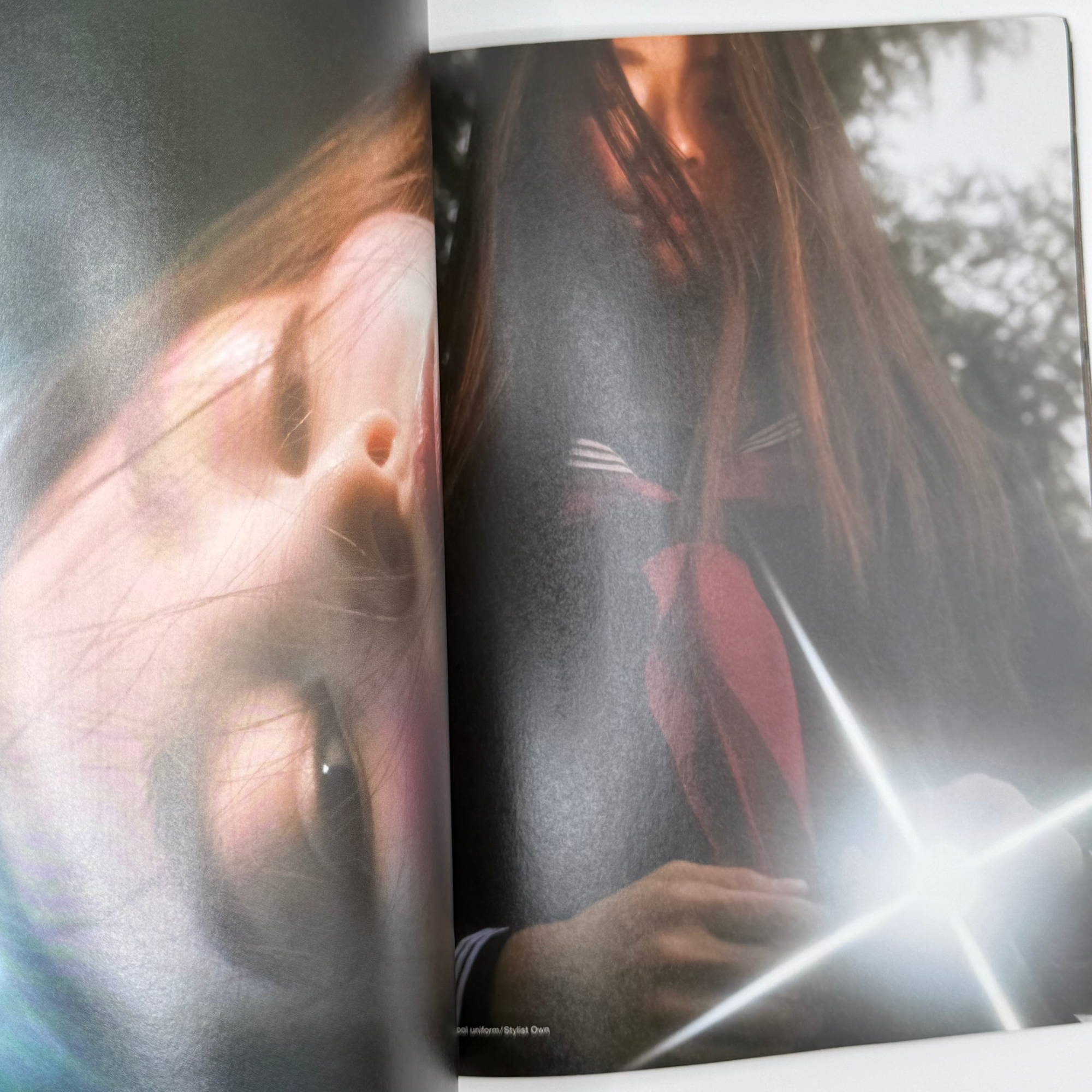 Hanatsubaki No. 821 by Petra Collins